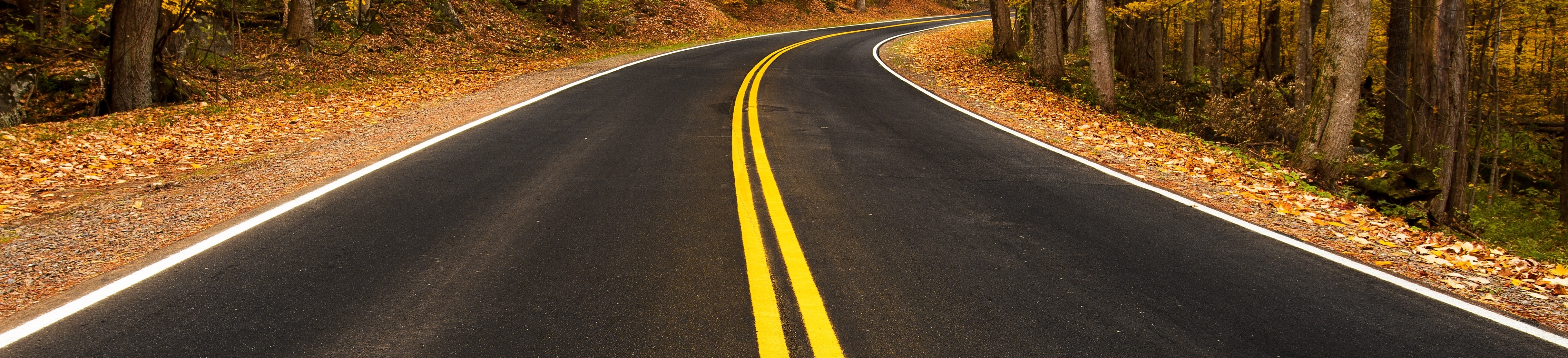 A.W130.1 Flickr - Phil Varney - Great Smoky Mtns Natl Park - Newfound Gap Road